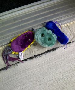 Threshold with Giant Microbes