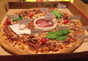 plant cell pizza