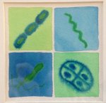 Some of my favourite bacteria (by artologica)