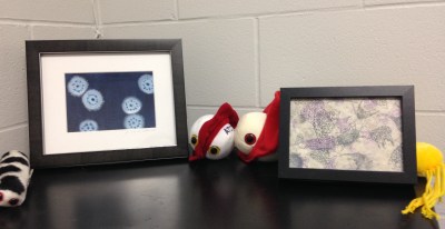 Streptomyces watercolour (by artologica) & radiolarians print (by Nicole Edmonds)