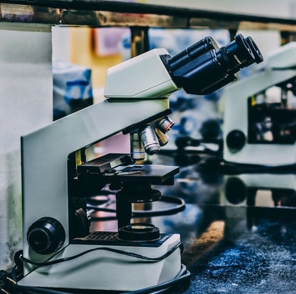 Microscopes on a lab bench.