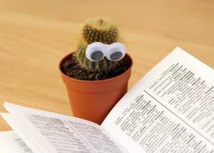 A cactus with googly eyes appears to be reading a book