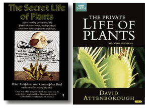 Cover of "The Secret Life of Plants" book and of DVD set for "The Private Life of Plants" BBC series.